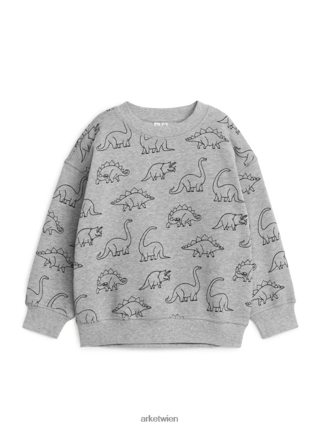 ARKET lässiges Sweatshirt grau/dino Kinder 8RF08T1509 Kleidung