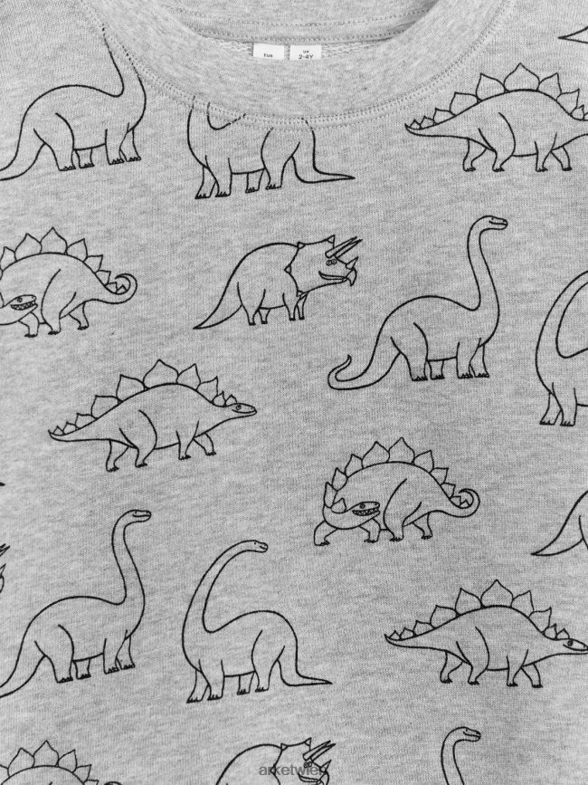 ARKET lässiges Sweatshirt grau/dino Kinder 8RF08T1509 Kleidung